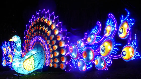 Giant Lantern Festival