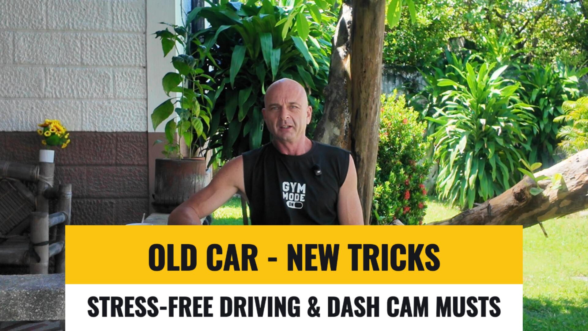 Old cars a smart expat choice