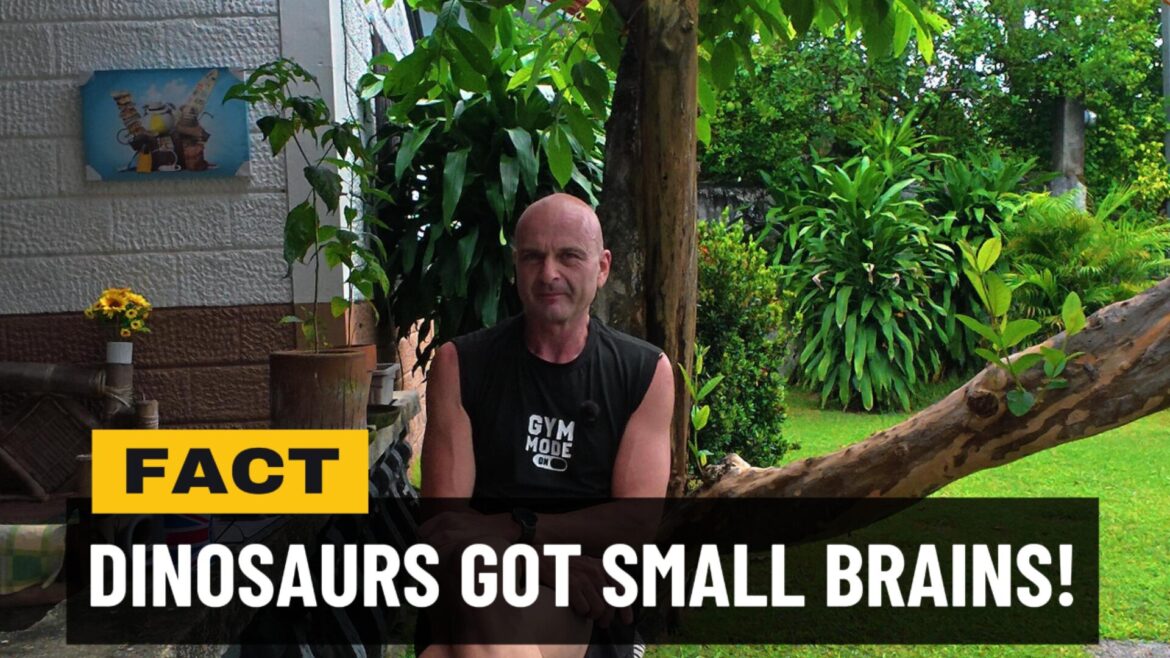 Desperate Western Men: You’re Being PLAYED by Young Asian Women